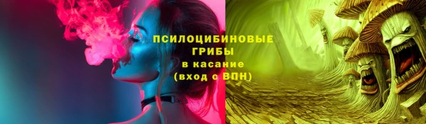 ПСИЛОЦИБИНОВЫЕ ГРИБЫ Новодвинск