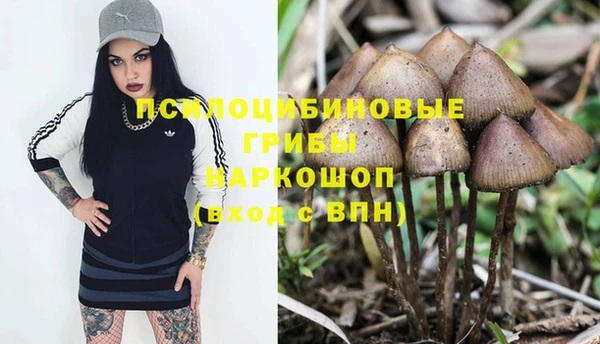 ПСИЛОЦИБИНОВЫЕ ГРИБЫ Новодвинск