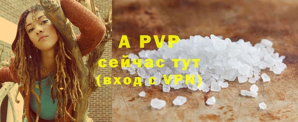 ПСИЛОЦИБИНОВЫЕ ГРИБЫ Новодвинск