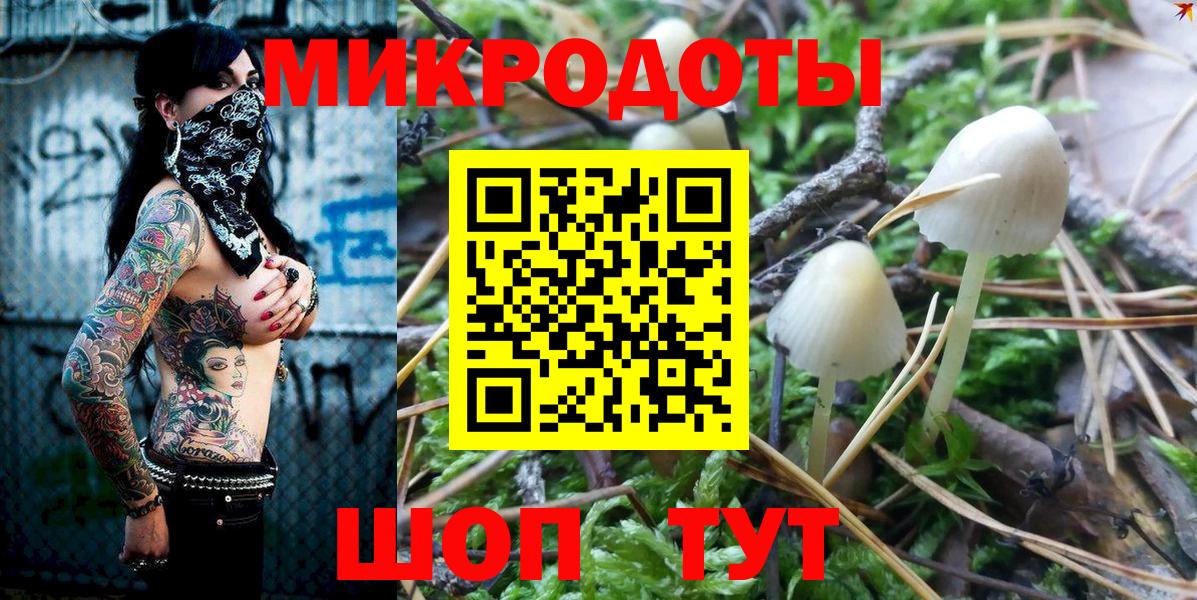 Псилоцибиновые грибы Cubensis  Вход с VPN  Ростов-на-Дону  Галлюциногенные грибы Magic Shrooms 