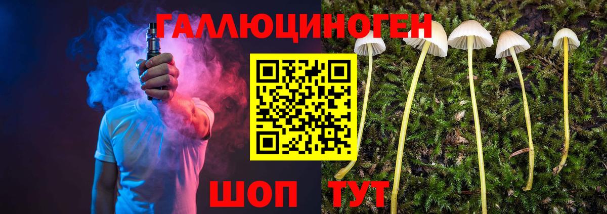 Галлюциногенные грибы Cubensis Ростов-на-Дону