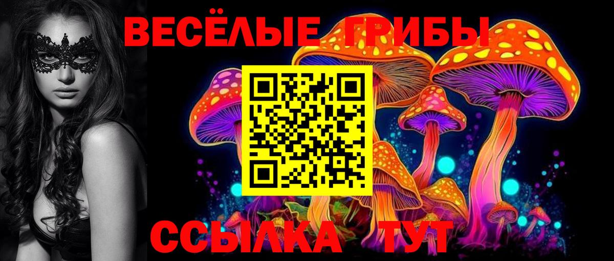 Галлюциногенные грибы Cubensis Ростов-на-Дону